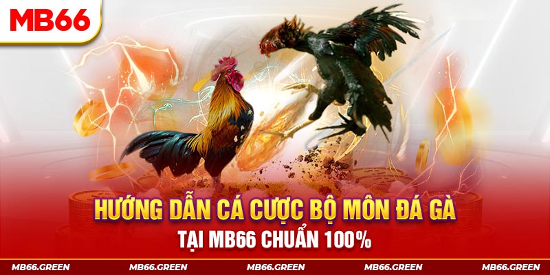 v88 kết quả xổ số miền bắc ngày hôm nay