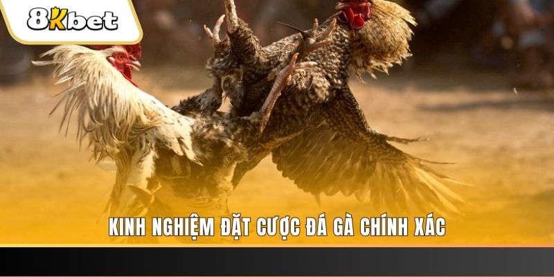 v88 xổ số thứ bảy hàng tuần