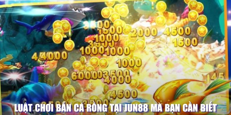 v88 xổ số đài hà nội