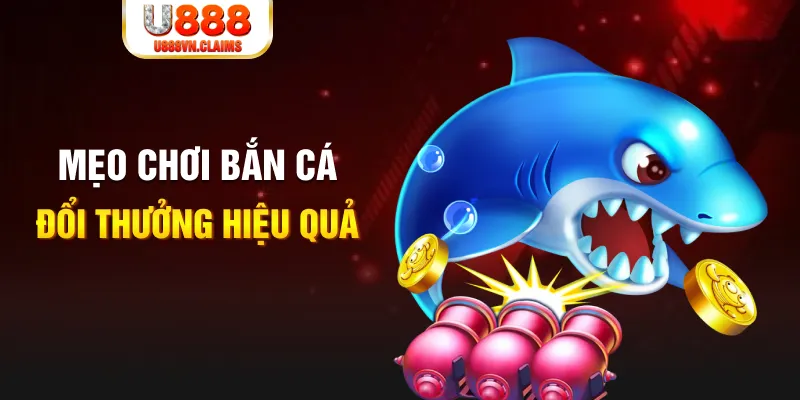 v88 gà chọi cam ranh