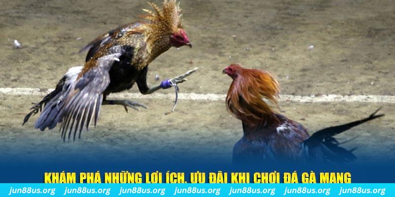 v88 đăng nhập liêng live