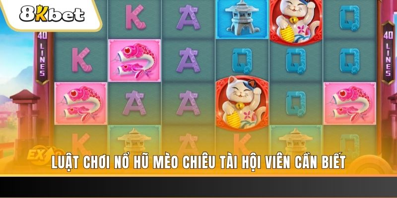 v88 gà chọi cu cần