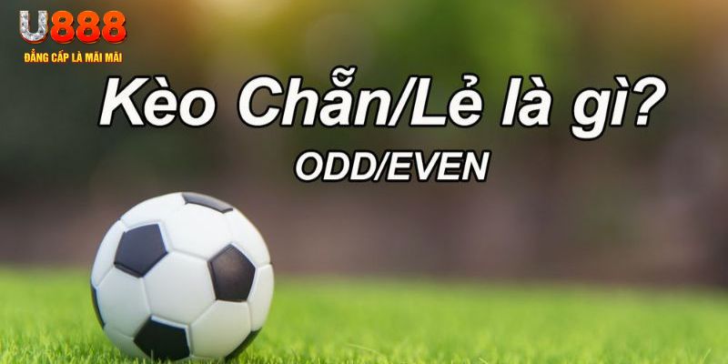 v88 đăng nhập sòng bạc 2024