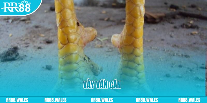 v88 Phi Đội Ưu Tú