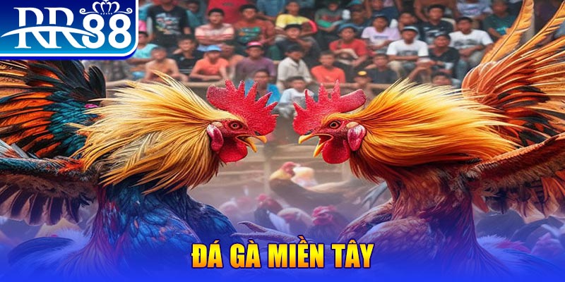 v88 người chia bài trong casino gọi là gì